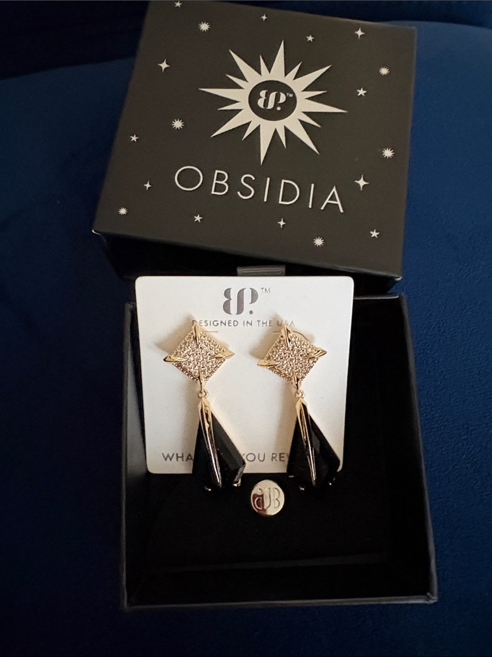 Obsidia Gold and Black Dangle Earrings